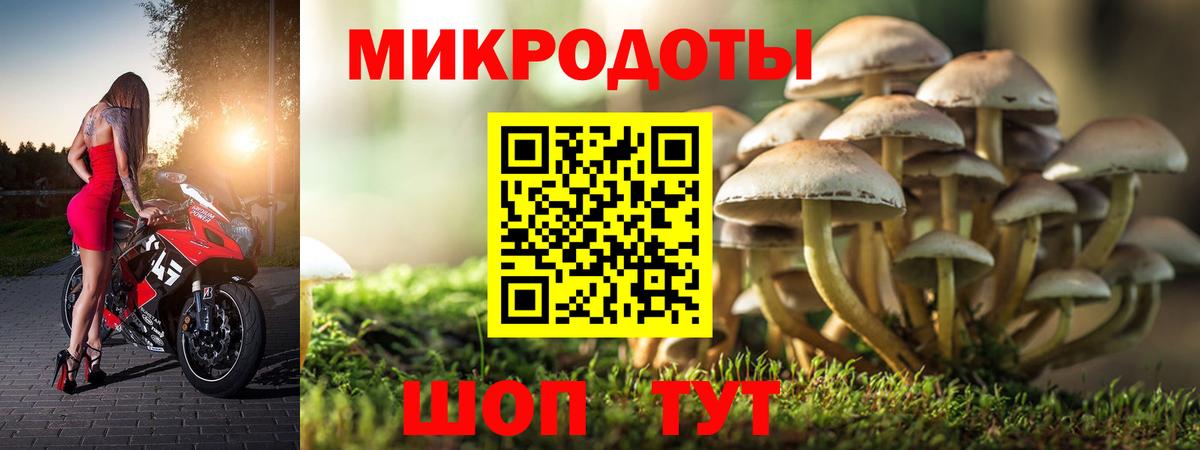 Галлюциногенные грибы Psilocybine cubensis  Вход с VPN  Галлюциногенные грибы Cubensis  Красногорск 